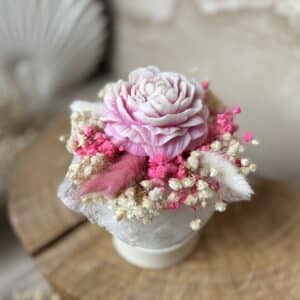 Mini Flowerbox Piwonia Solo
